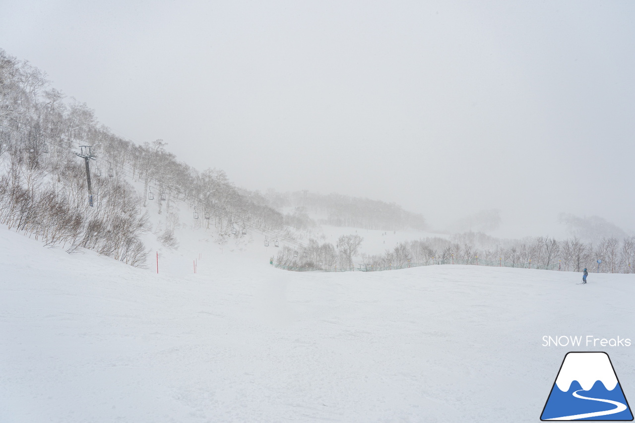 ニセコビレッジスキーリゾート｜気温 -18℃…。最強寒波到来で視界不良なほどのパウダースノーが降り積もる！